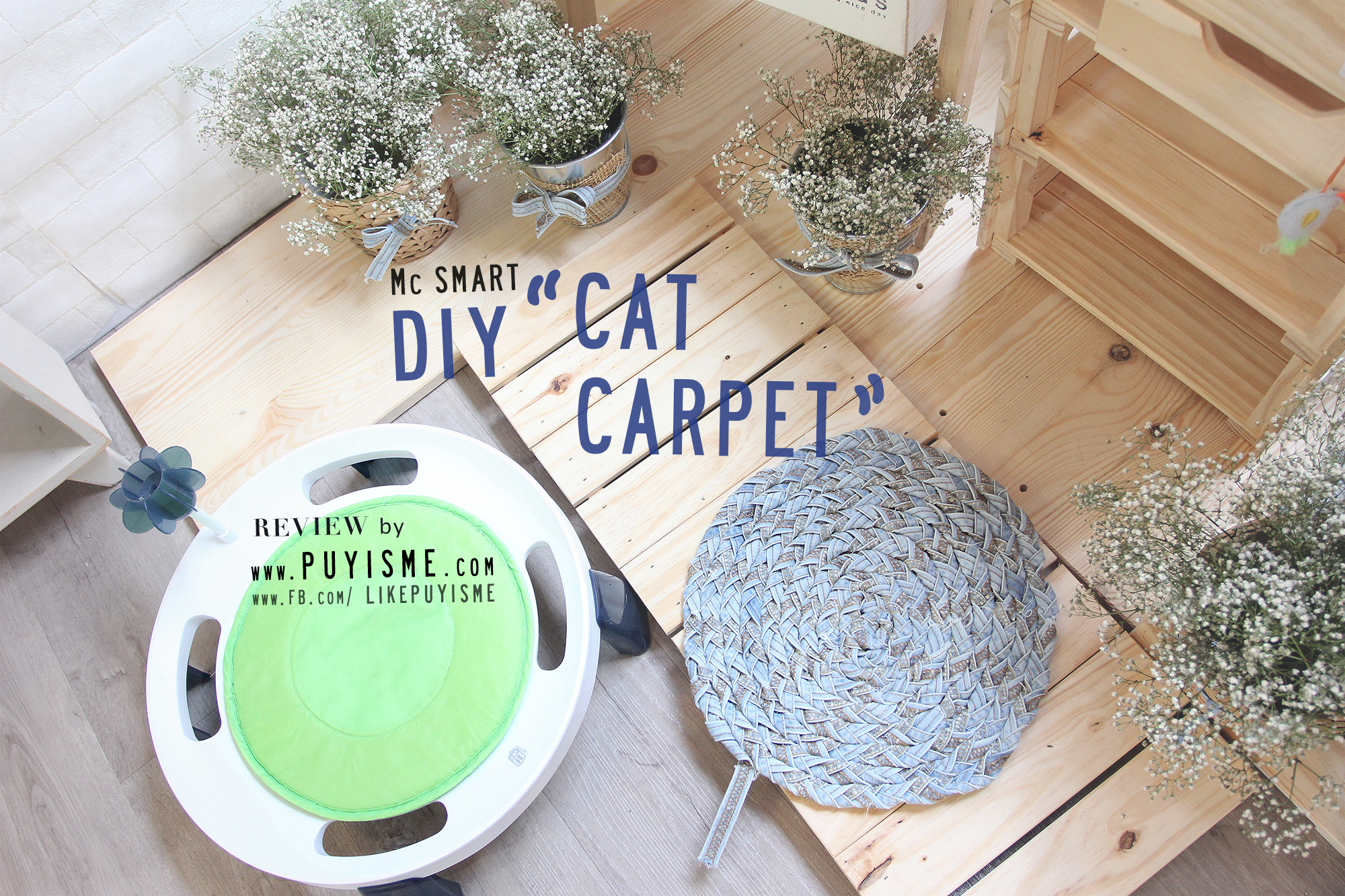 DIY Cat Carpet 01