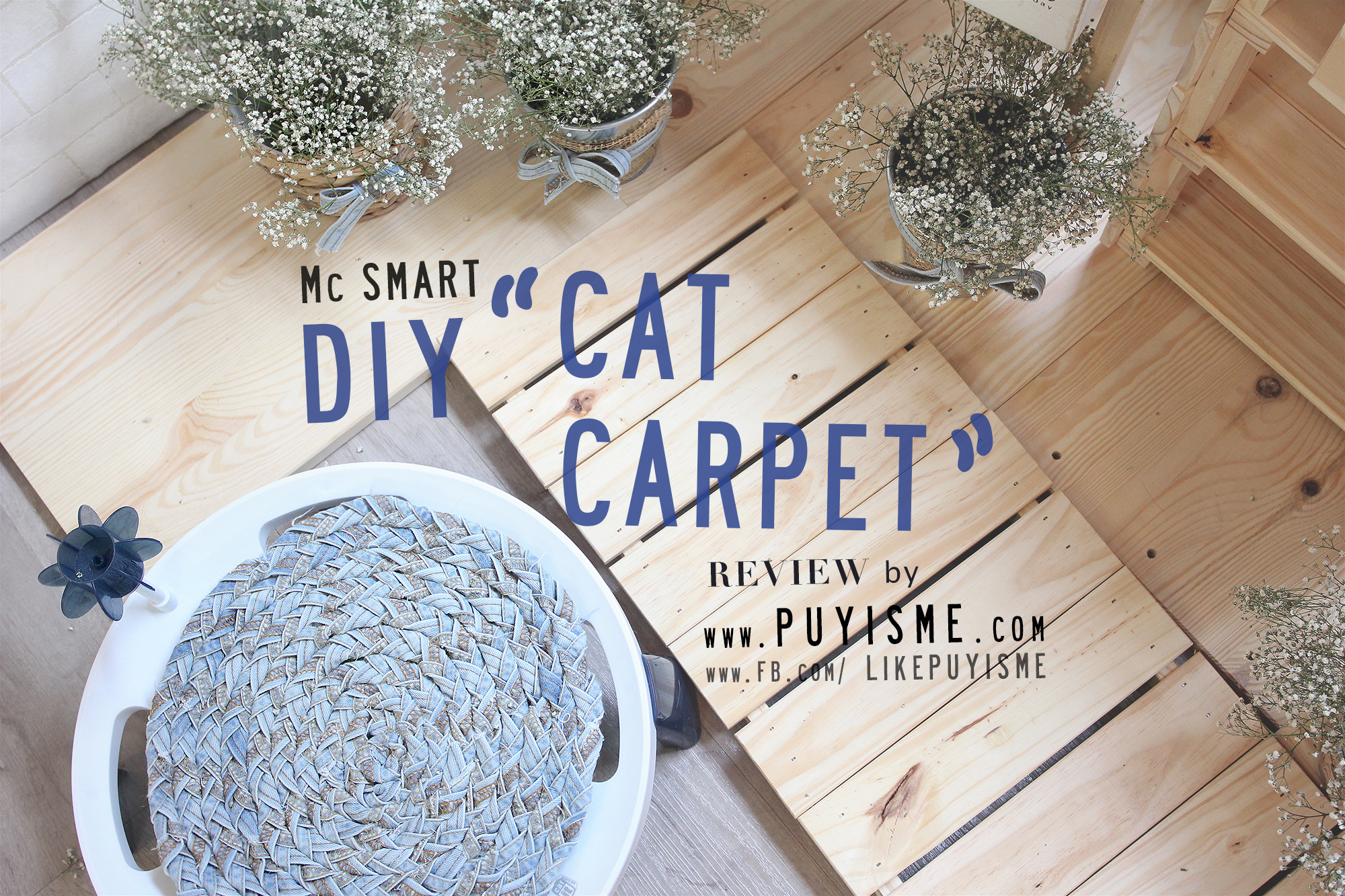 DIY Cat Carpet 02