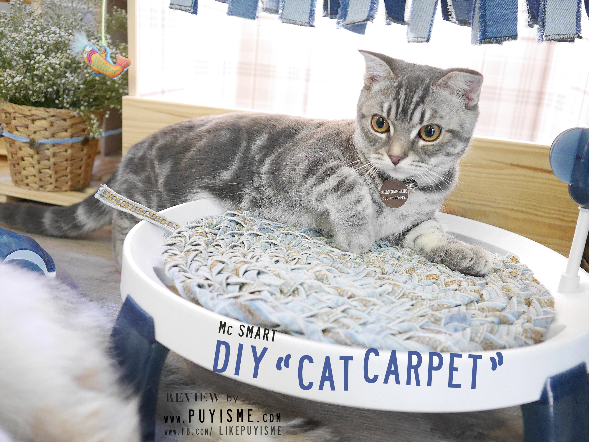 DIY Cat Carpet 05